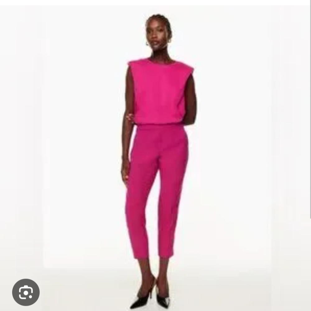 Aritzia/Babaton Conan Pant Sz 2